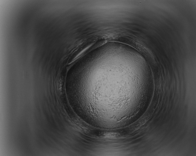 X0000052600268200507160019