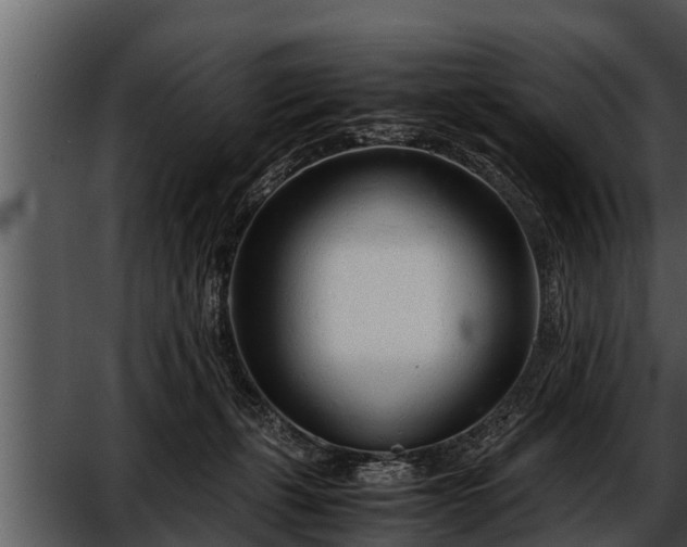 X0000052600271200507160019