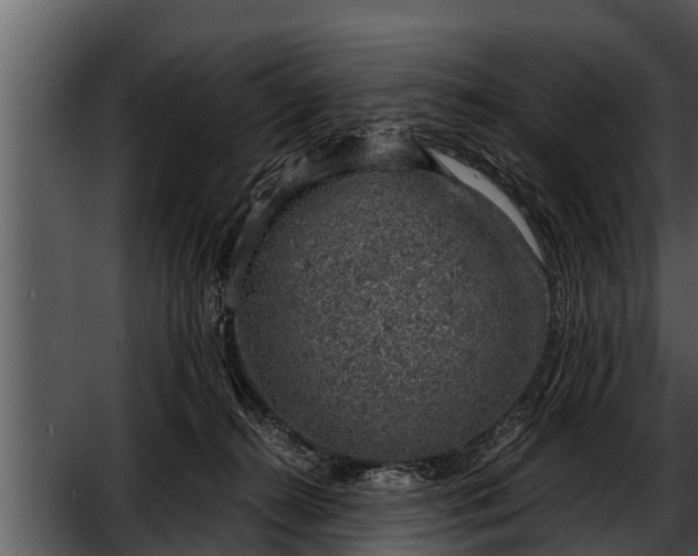 X0000052600272200507160019