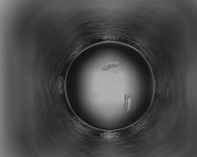 X0000052600273200507160019