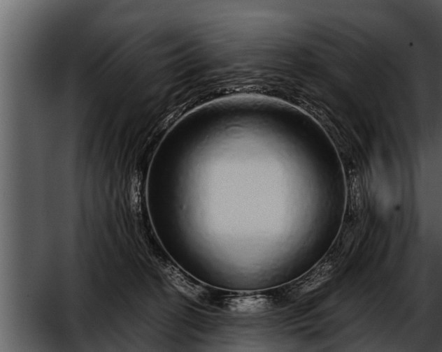 X0000052600274200507160019