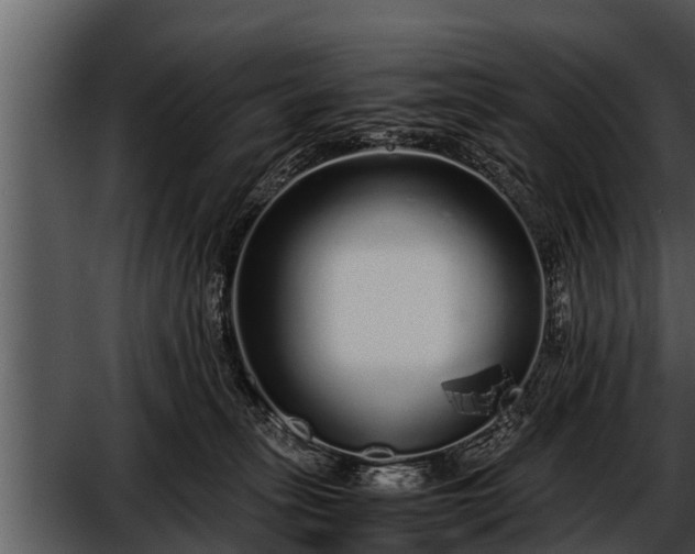 X0000052600275200507160019