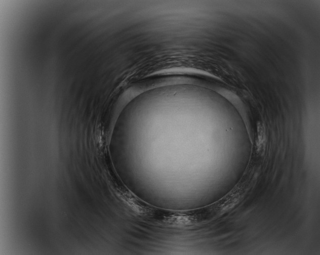 X0000052600276200507160019