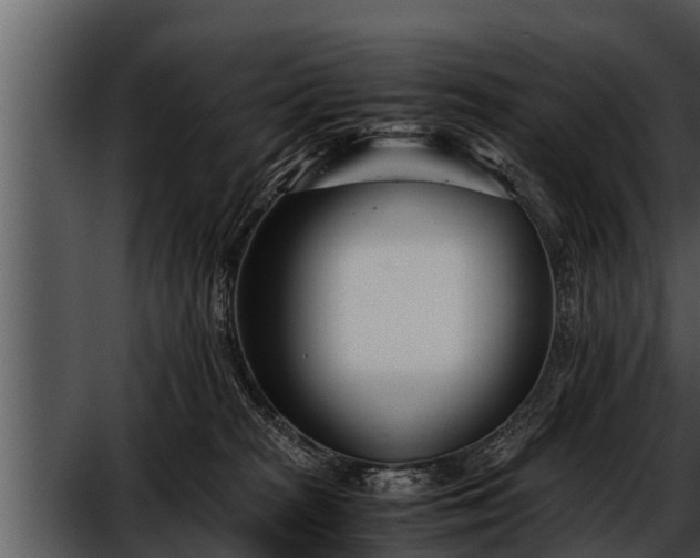 X0000052600277200507160019