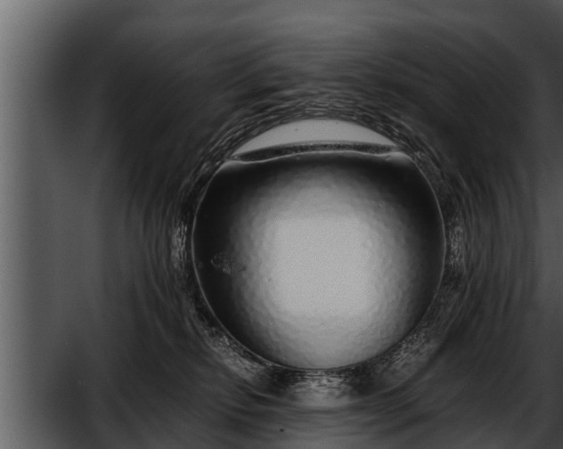 X0000052600278200507160019