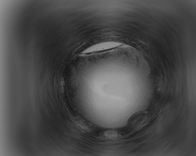 X0000052600279200507160019