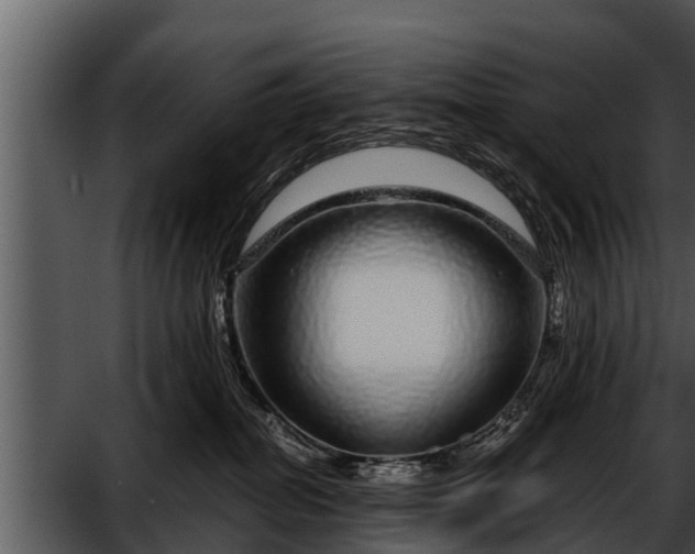 X0000052600282200507160019