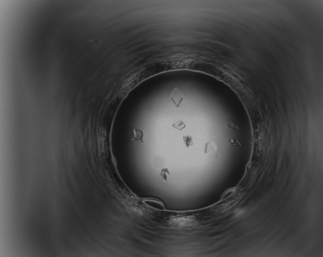 X0000052600283200507160019