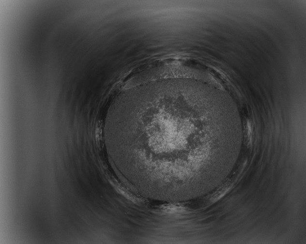 X0000052600284200507160019