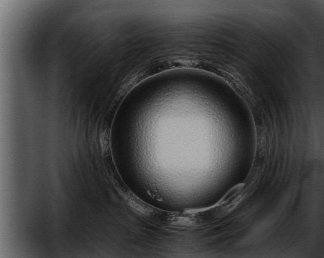 X0000052600285200507160019