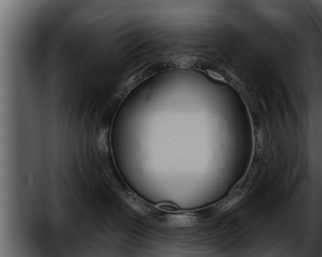 X0000052600286200507160019