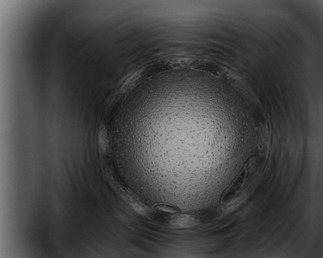 X0000052600287200507160019