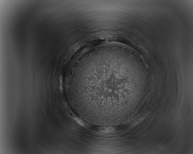 X0000052600288200507160019