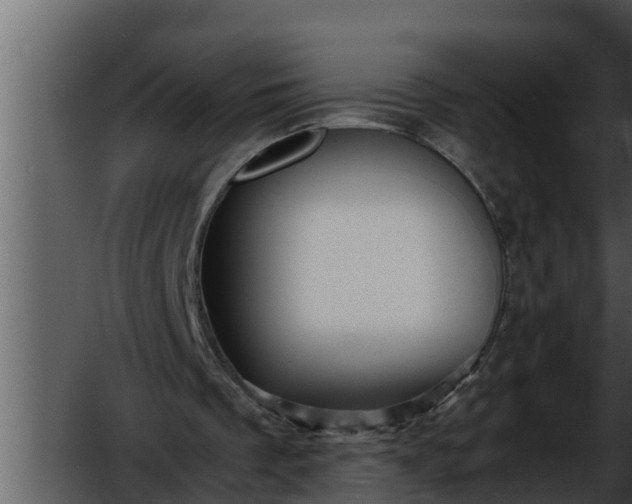 X0000052600289200507160018