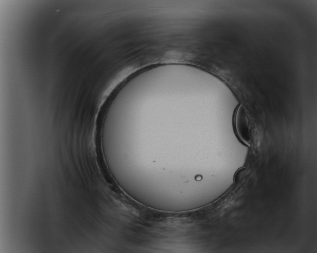 X0000052600292200507160018