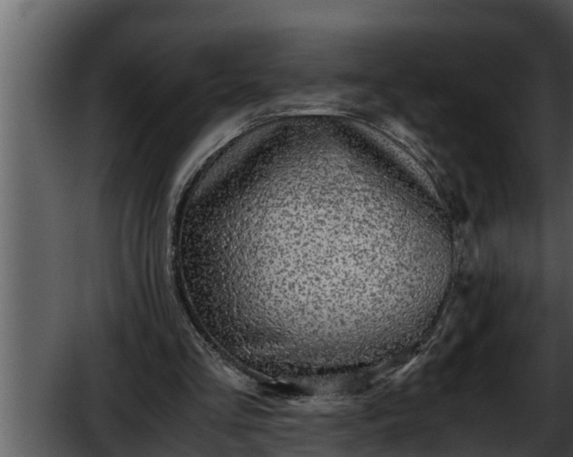 X0000052600293200507160018