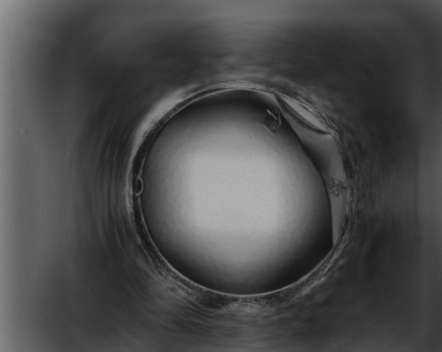 X0000052600294200507160018