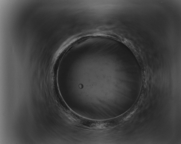 X0000052600295200507160018