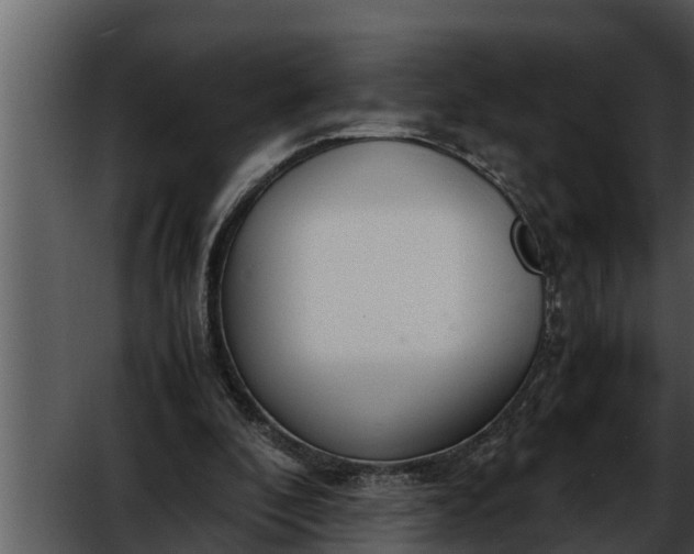 X0000052600296200507160018