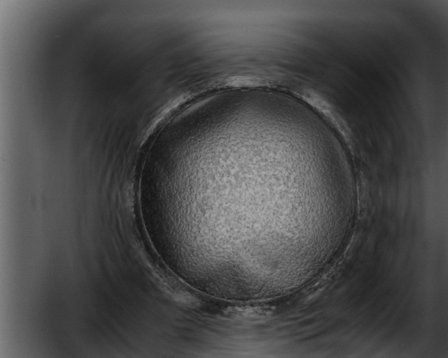 X0000052600297200507160018