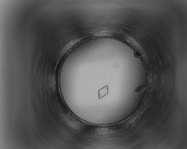 X0000052600298200507160018