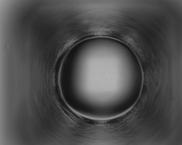 X0000052600299200507160018