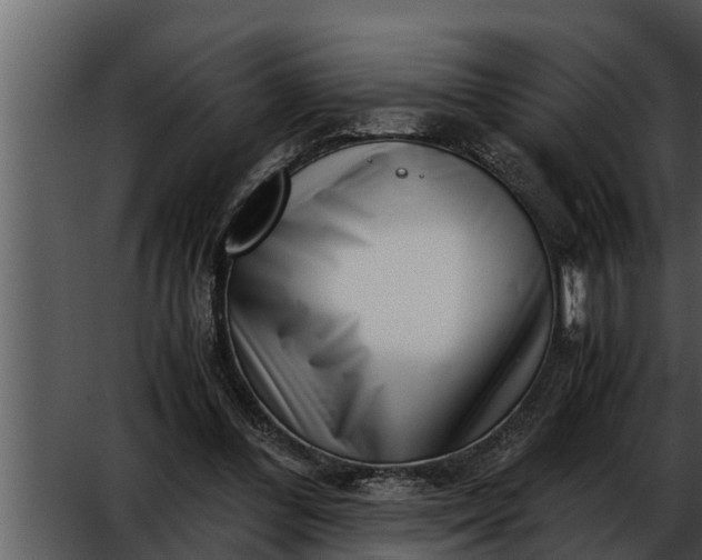 X0000052600300200507160018