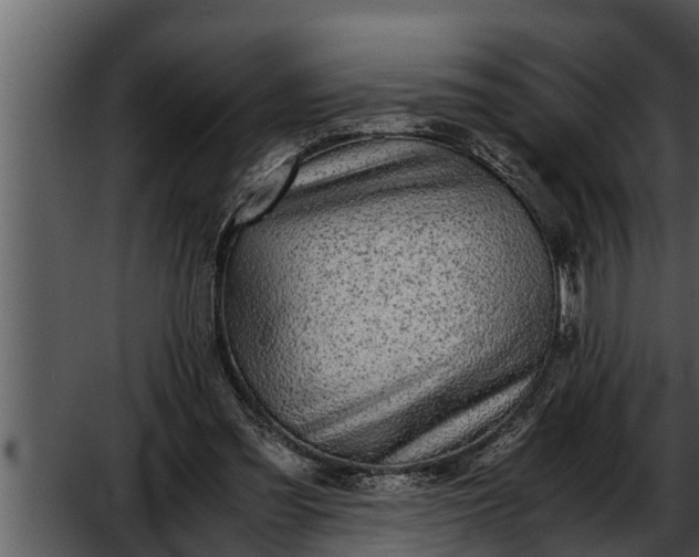 X0000052600301200507160018