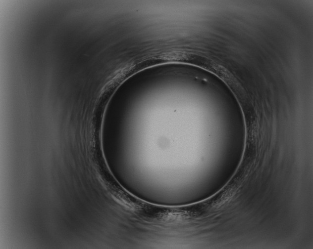 X0000052600303200507160018