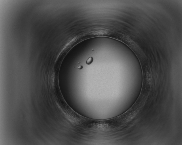 X0000052600304200507160018