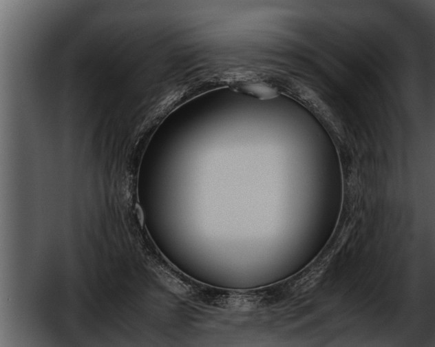 X0000052600305200507160018