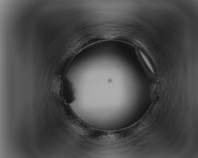 X0000052600307200507160018