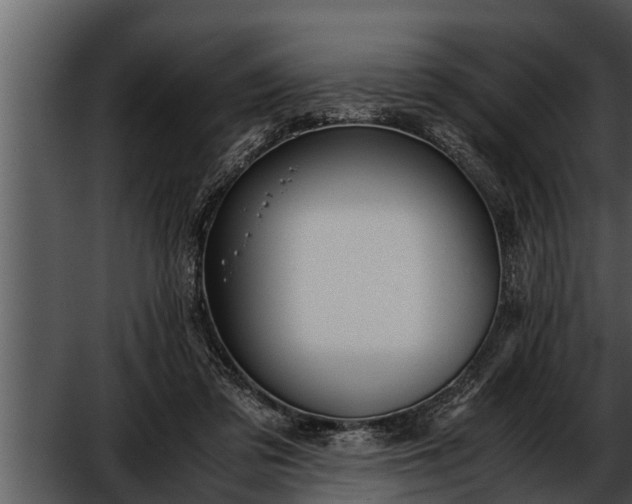 X0000052600309200507160018