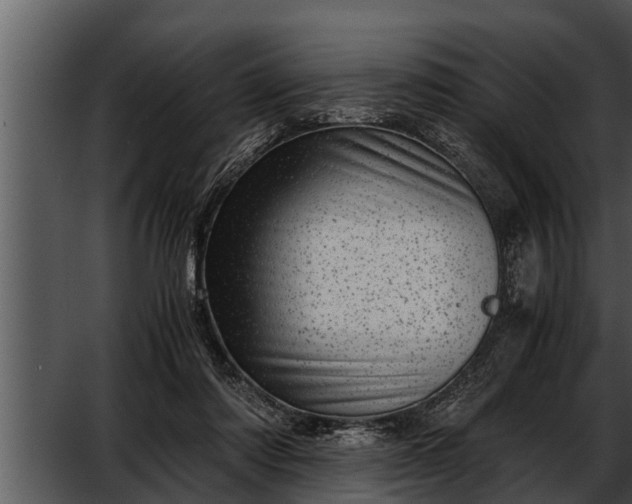 X0000052600310200507160018