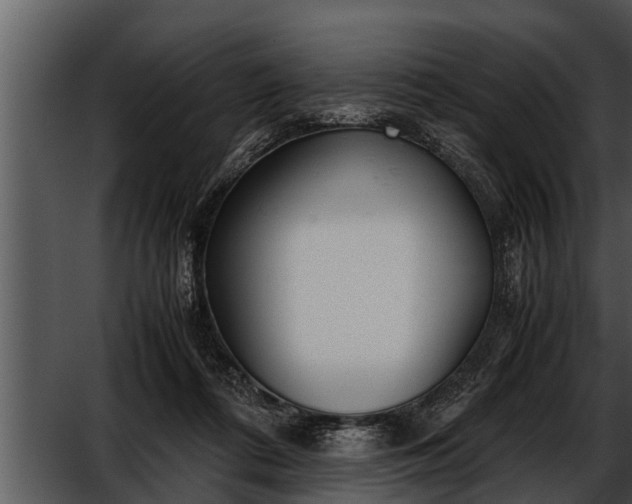 X0000052600312200507160018