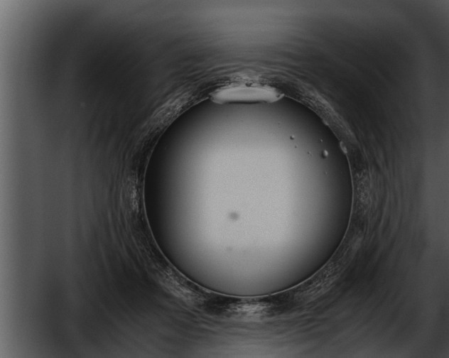 X0000052600313200507160018