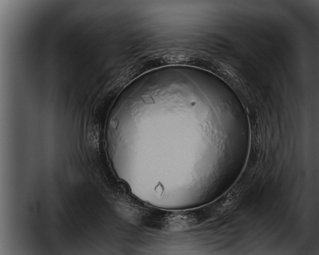 X0000052600315200507160018