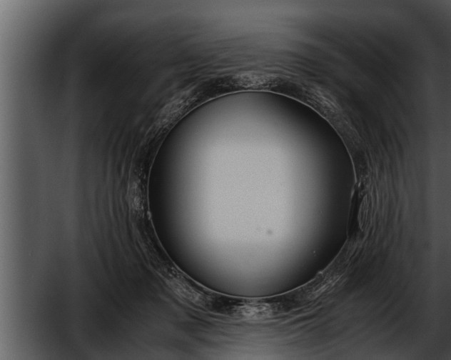 X0000052600317200507160018