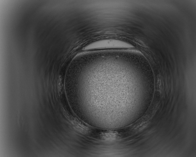 X0000052600318200507160018