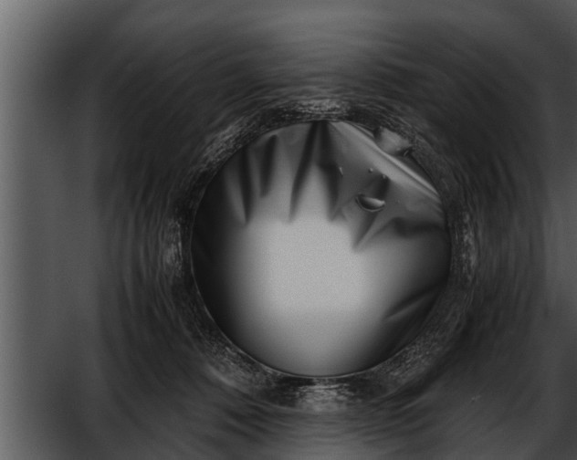 X0000052600320200507160018