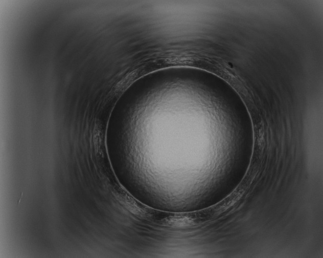 X0000052600322200507160018