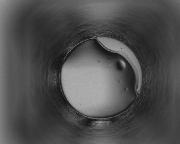 X0000052600323200507160018