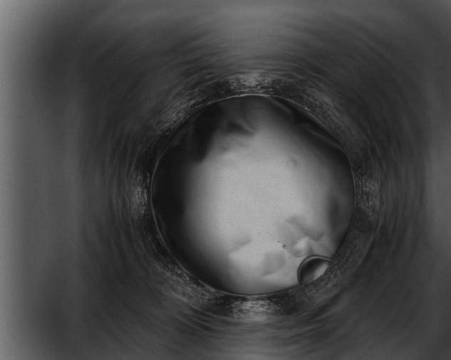 X0000052600324200507160018