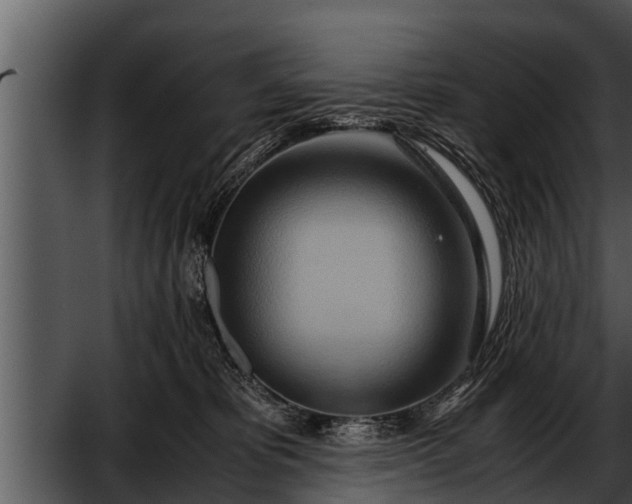 X0000052600325200507160018