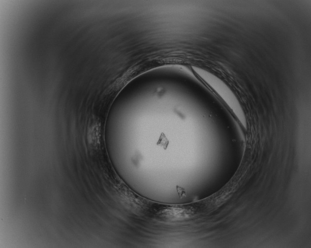 X0000052600326200507160018