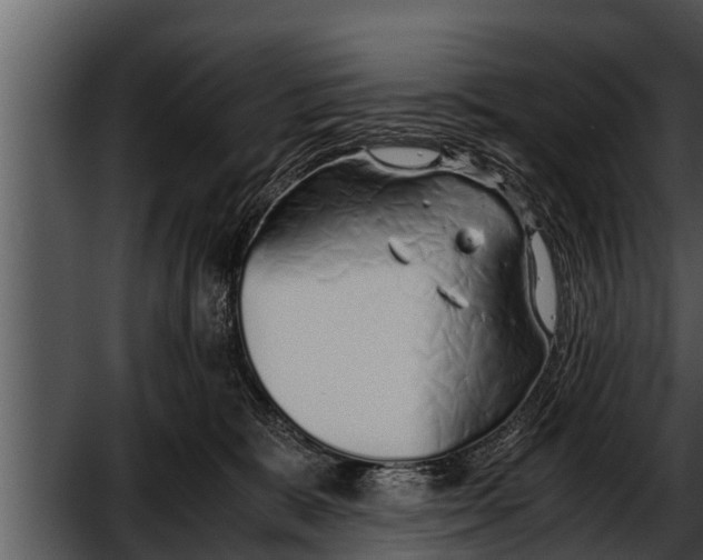 X0000052600327200507160018