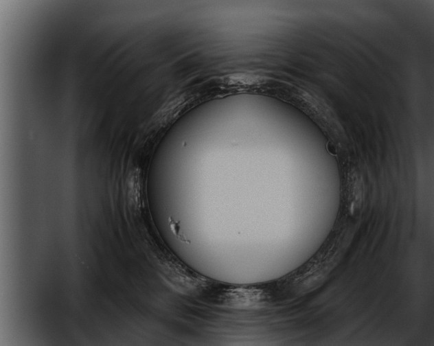 X0000052600328200507160018