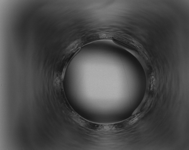 X0000052600329200507160017