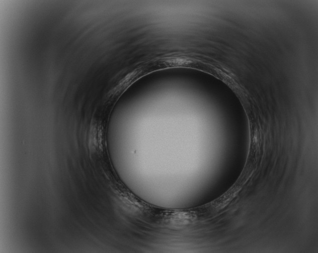 X0000052600330200507160017