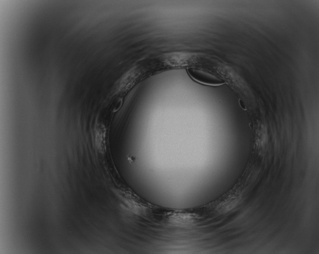 X0000052600332200507160017